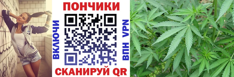 Наркошоп купить Гашиш  Каннабис  Кокаин  А ПВП  Мефедрон  Заозёрный