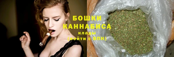мдпв Инсар