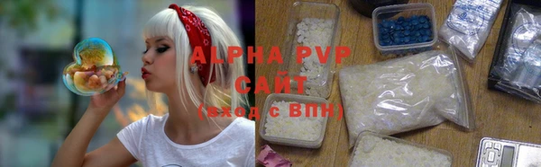 мдпв Инсар