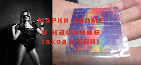 мдпв Инсар