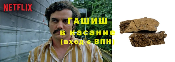 мдпв Инсар