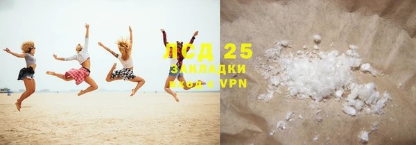 мдпв Инсар
