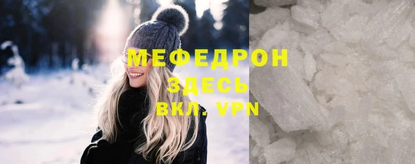 мдпв Инсар
