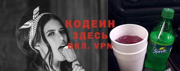 мдпв Инсар