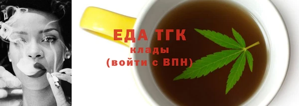 мдпв Инсар