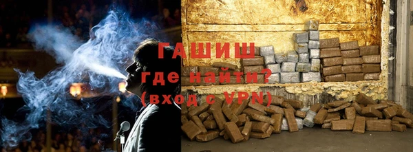 мдпв Инсар