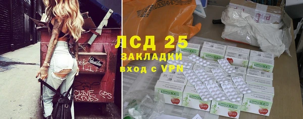 мдпв Инсар