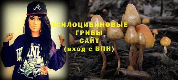 метамфетамин Инта