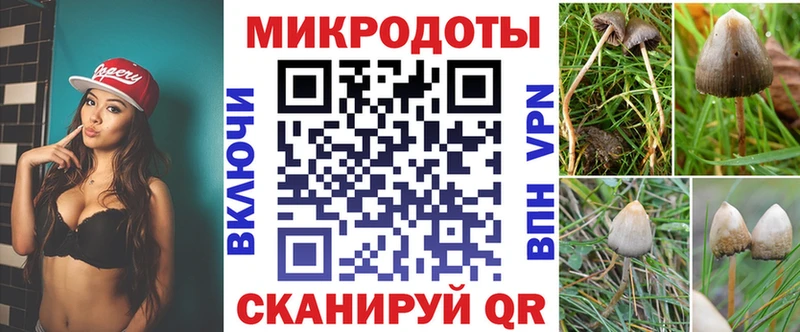 Купить закладки  Заозёрный  Псилоцибиновые грибы прущие грибы 